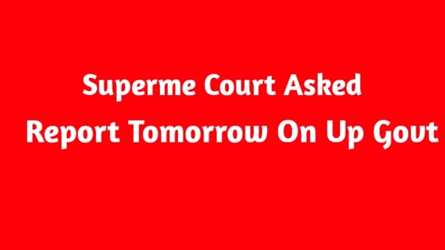 up-news-superme-court-asked-report-tomorrow-on-up-govt